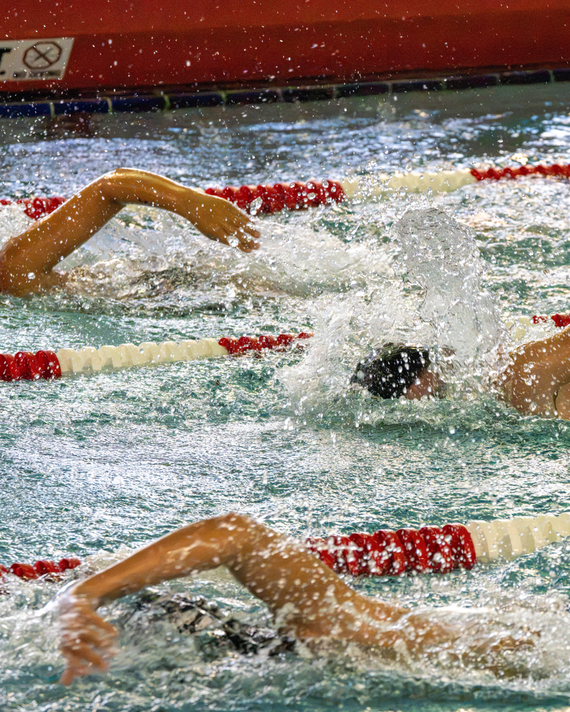Three swimmers in the water. 