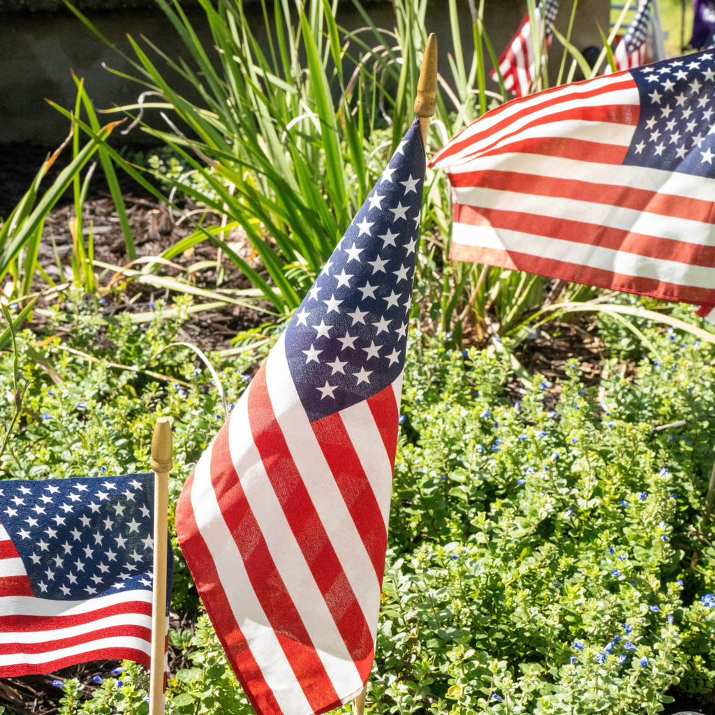 Close up of American flags in the plants outside downtown St Augustine.
