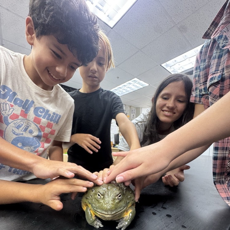 group of students touching a very large toad
