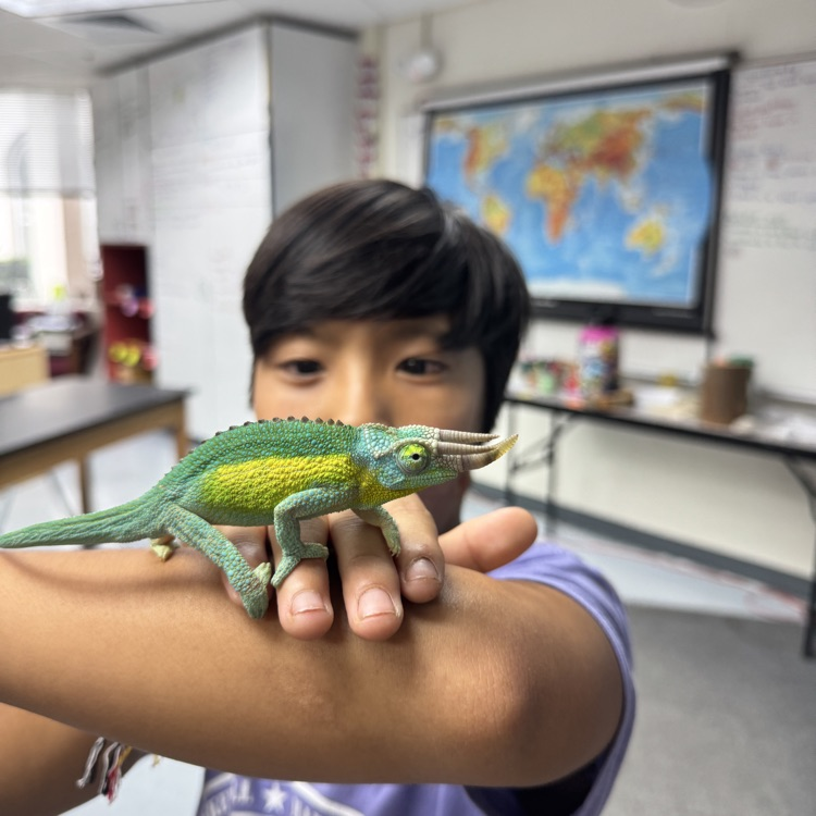 student holding a chameleon