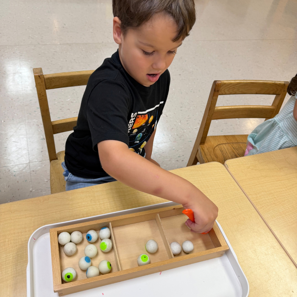 ELC student sorts Halloween eyeballs from one container to another. 