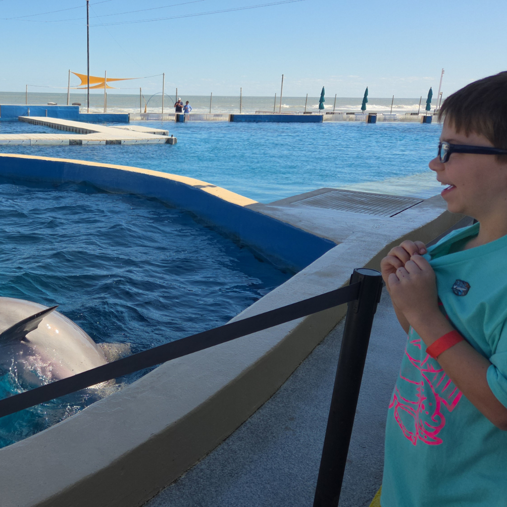 A student smiles as a dolphin jumps for him.