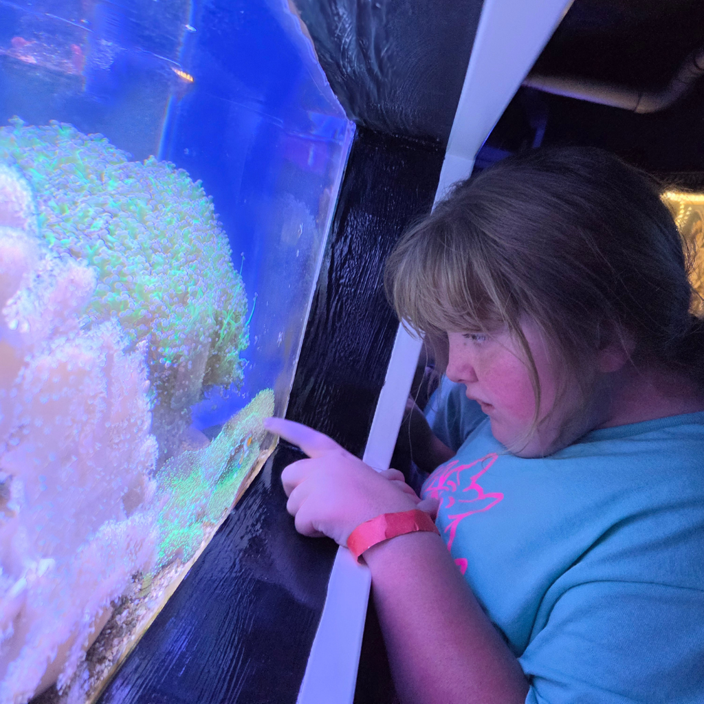 A student points at the fish in the tank.