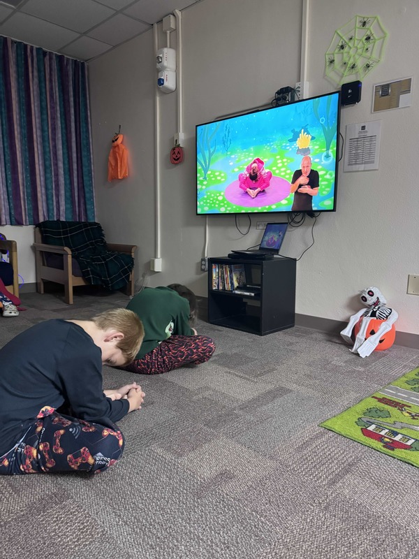 Boys doing yoga along with a video on the TV.
