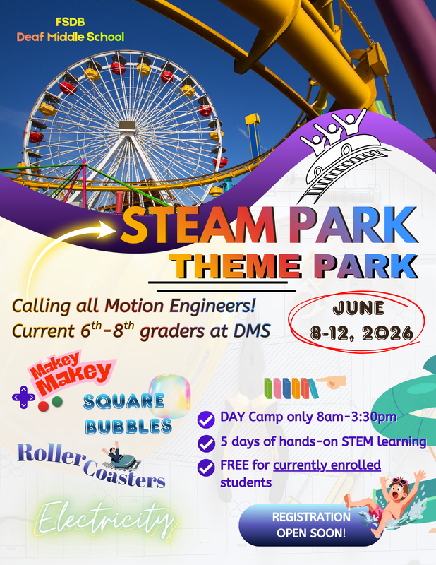 Steam Park Theme Park Camp Flyer