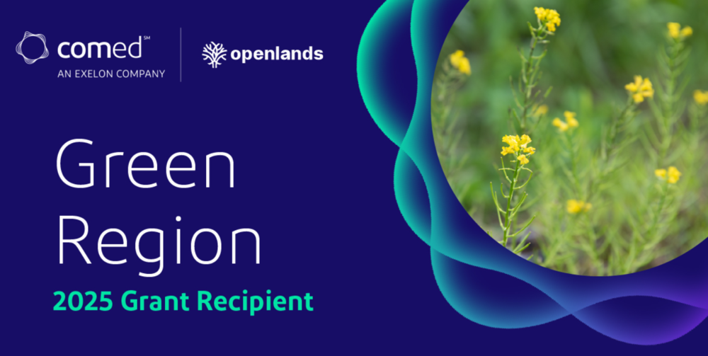green region grant recipient
