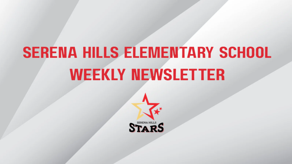 weekly newsletter 