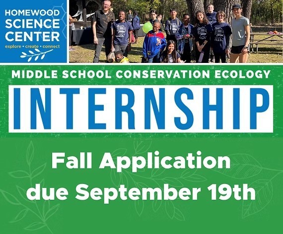 internship opportunity