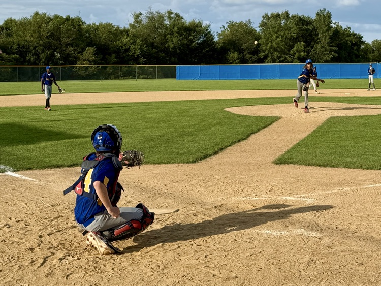 catcher in position at a baseball game.