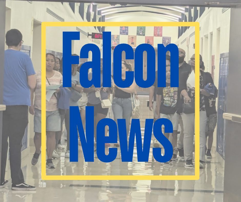 Falcon News! 