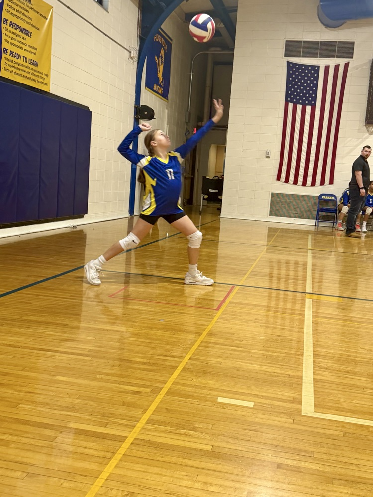 volleyball 