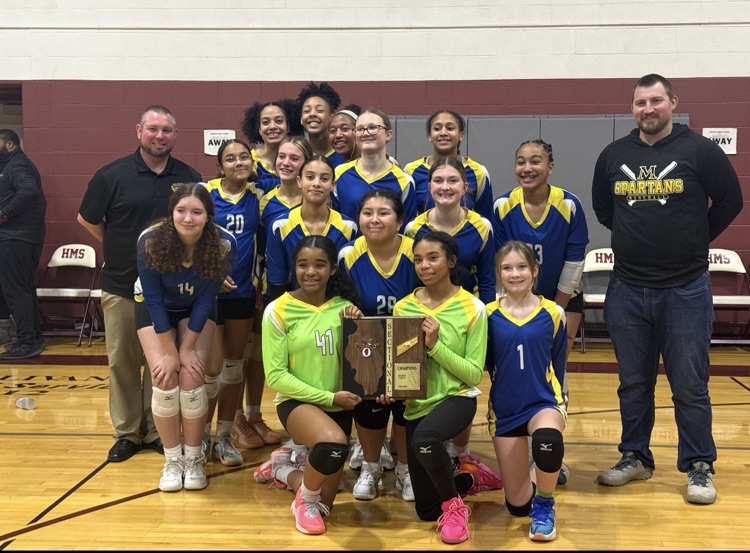 girls volleyball team 