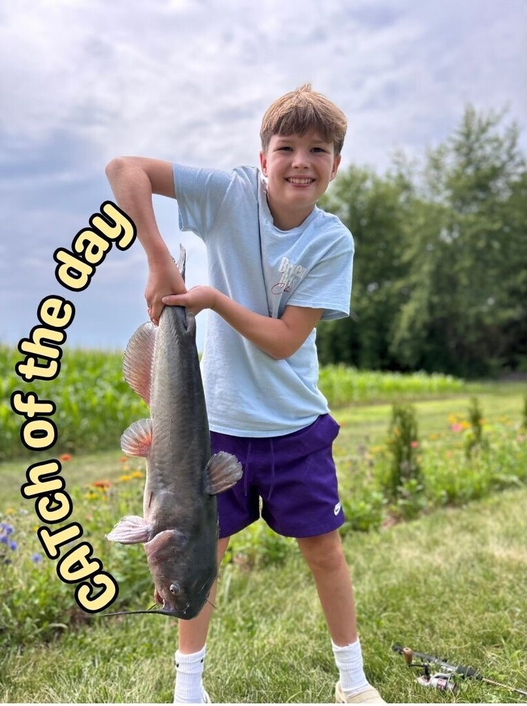 a child with a catfish