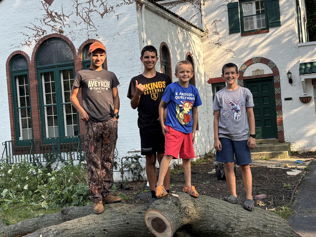 Students standing on logs
