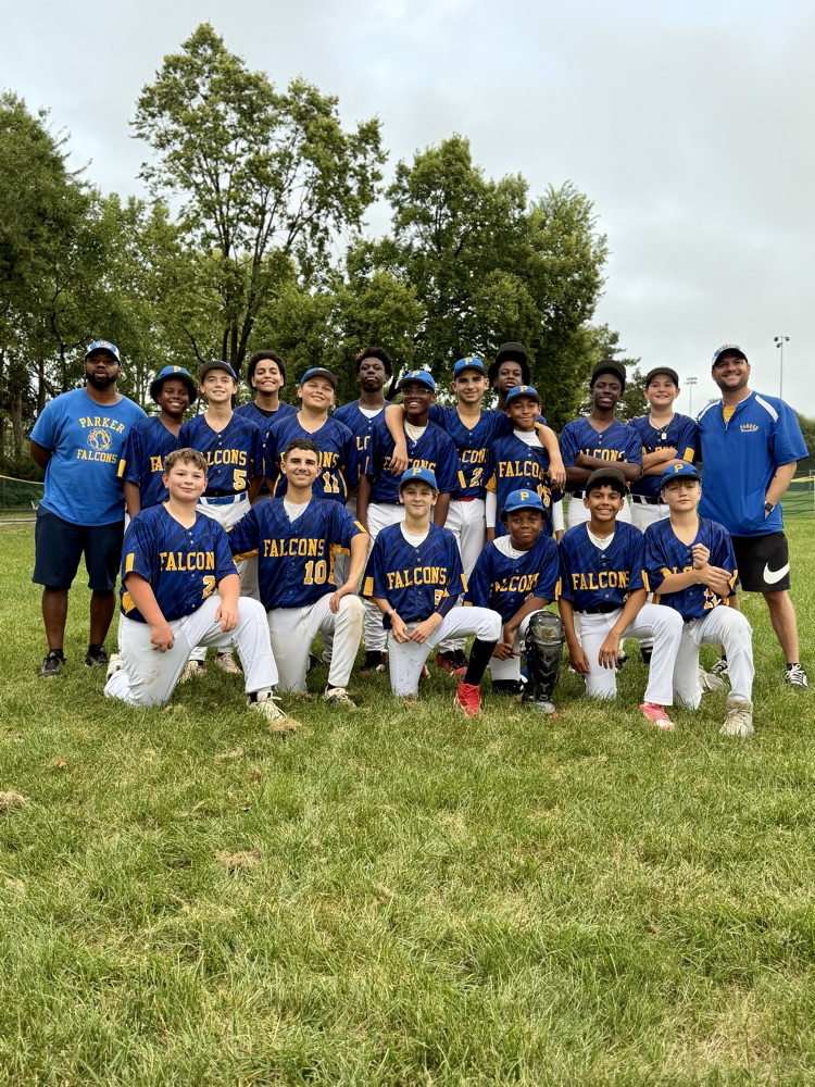 boys baseball