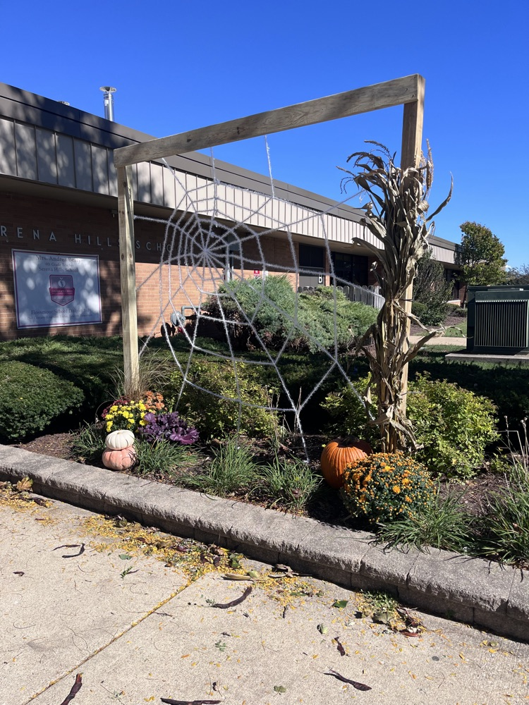 spider web
