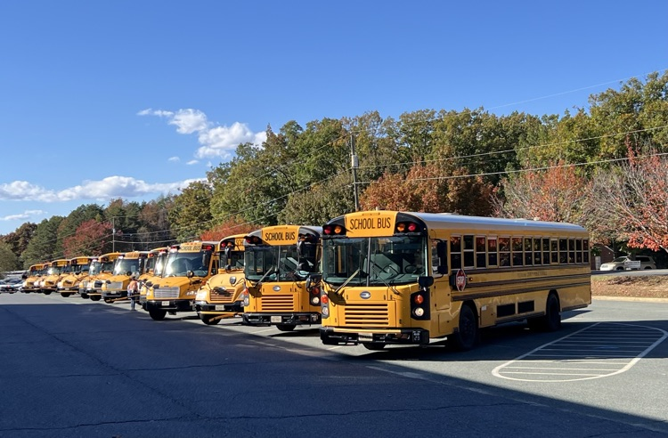 buses