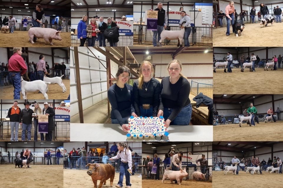 Lipscomb County Stock how