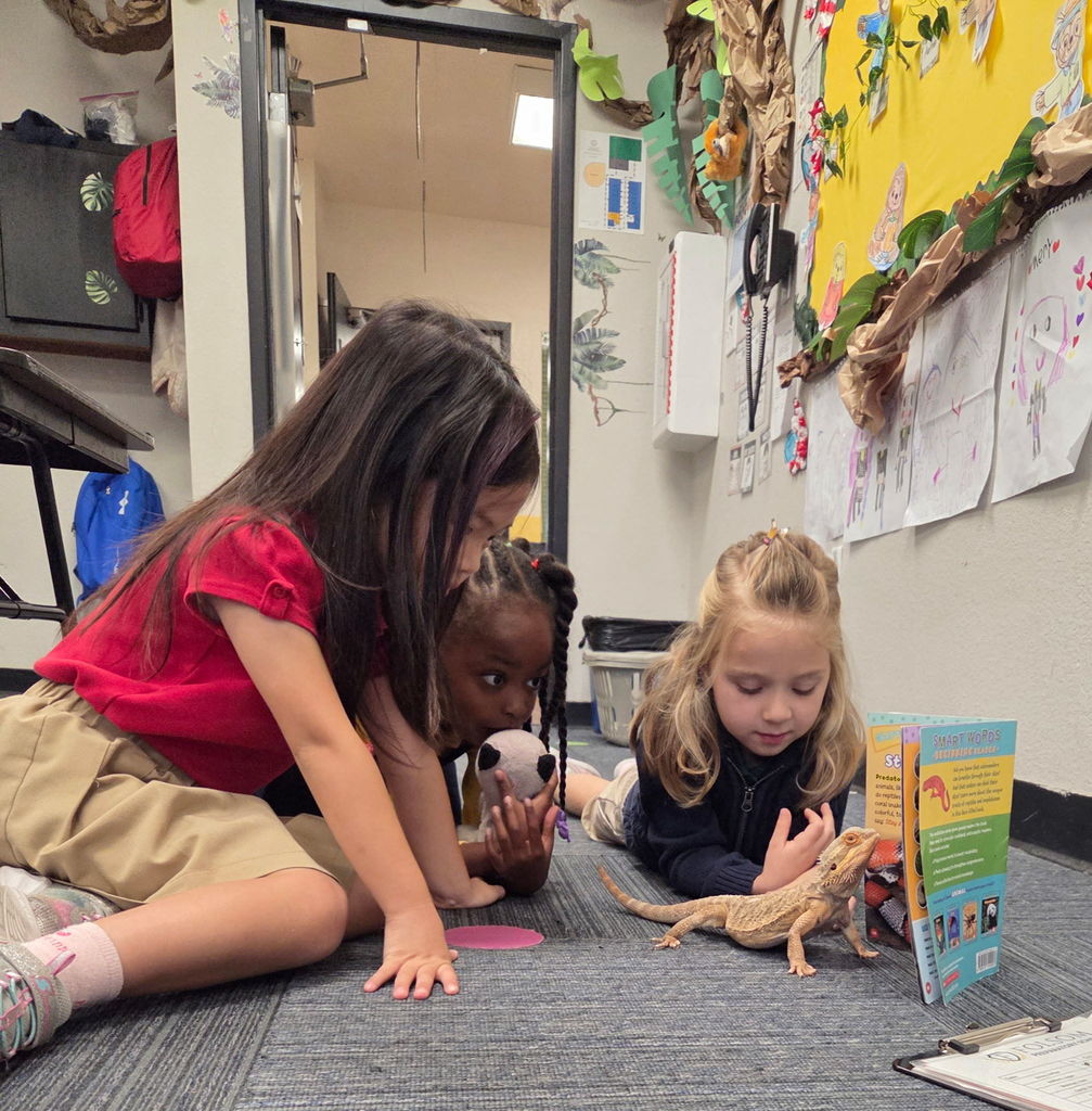 Students reading about reptiles