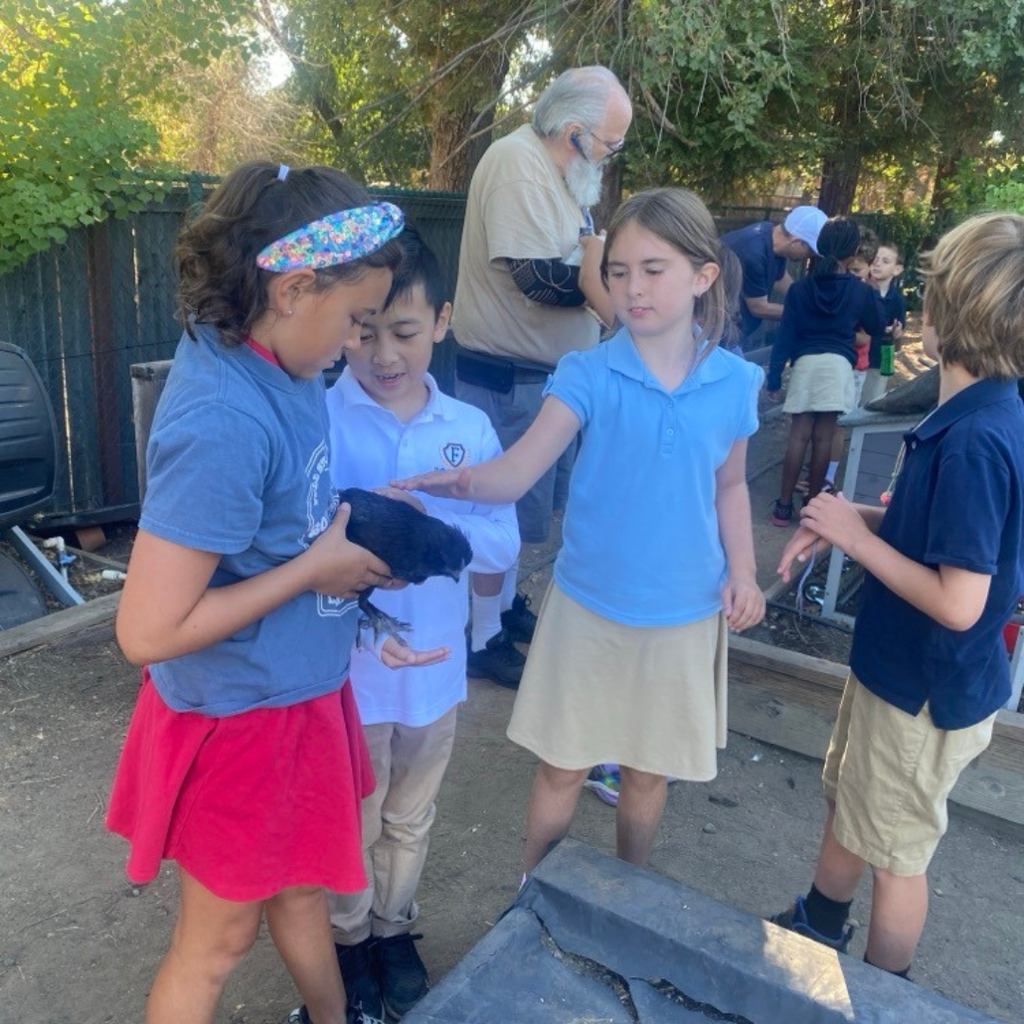 Learning about the chickens!
