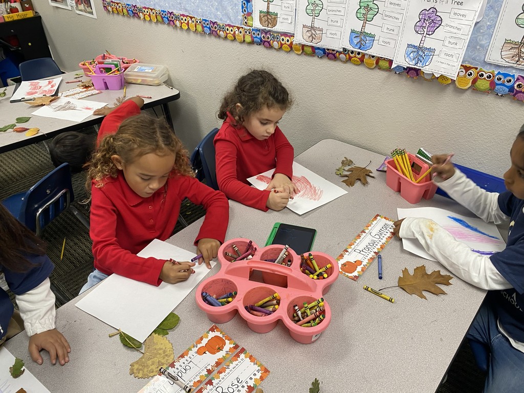 Leaf rubbings