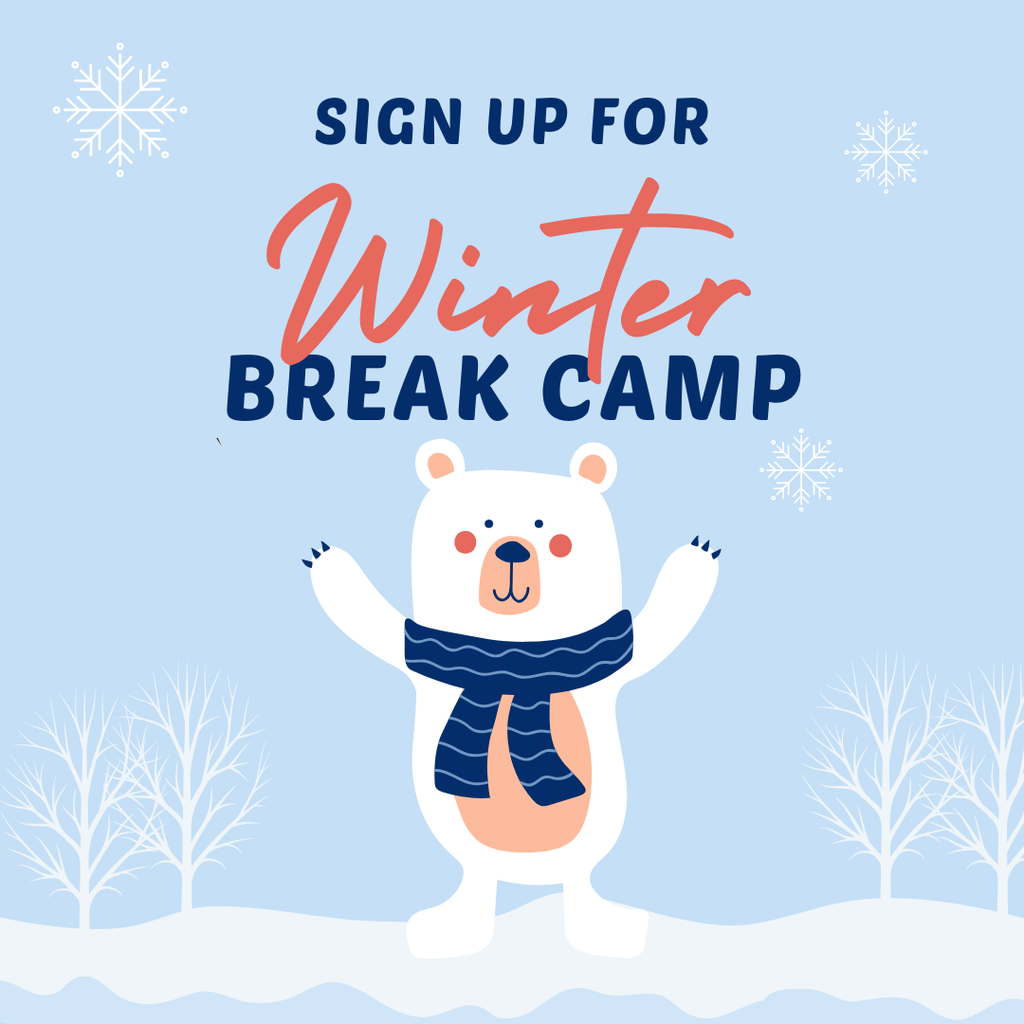 Winter Break Camp