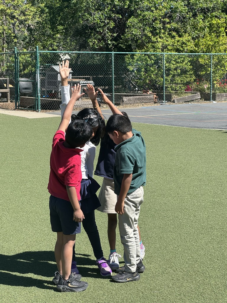 Students raising their hands