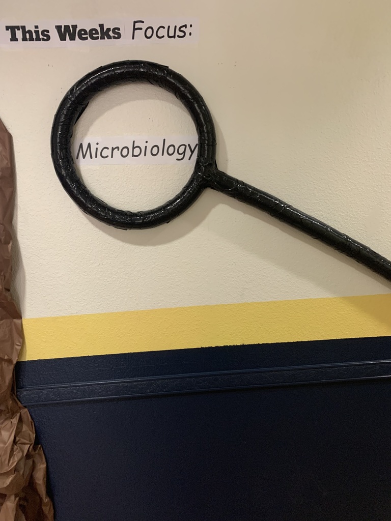 Summer Camp Week 1 - Microbiology