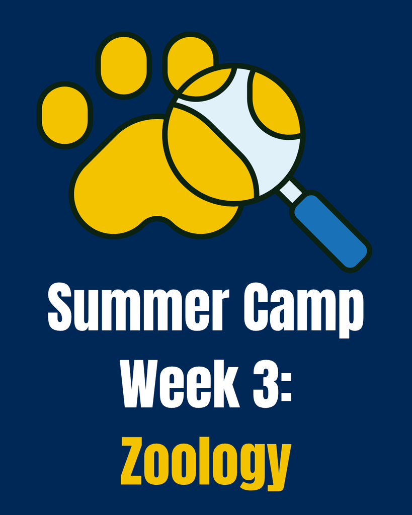 Summer camp week 3 - Zoology