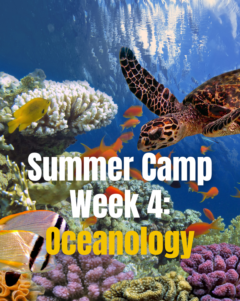 Summer camp week 4 - Oceanology