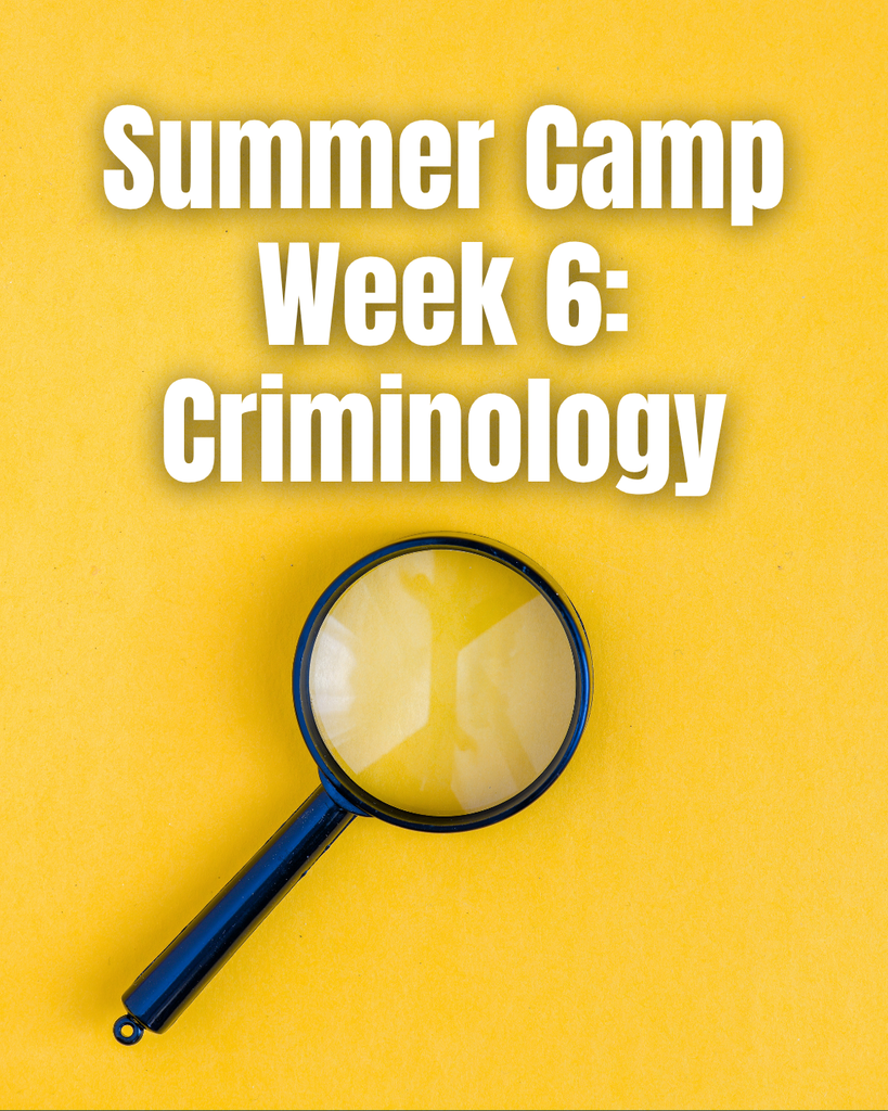 Summer camp week 6 - Criminology
