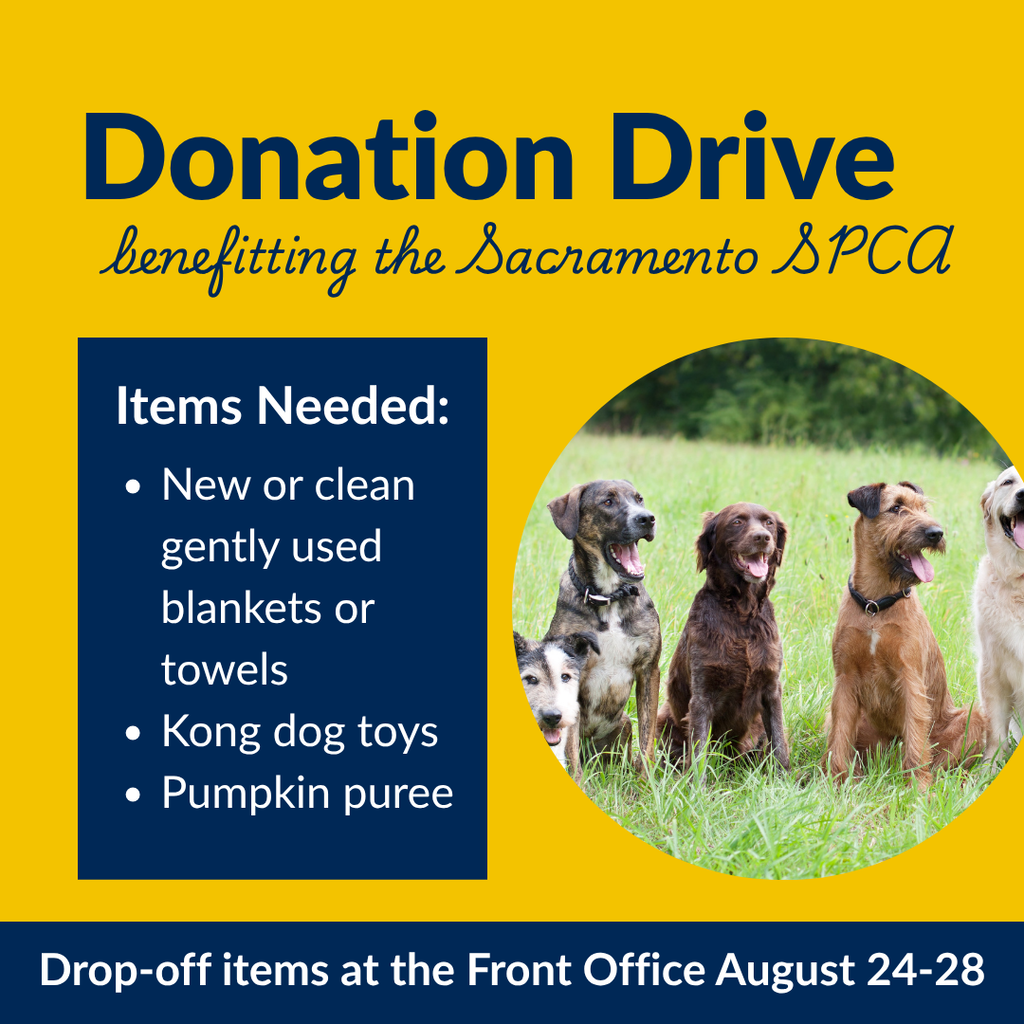 SPCA Donation Drive