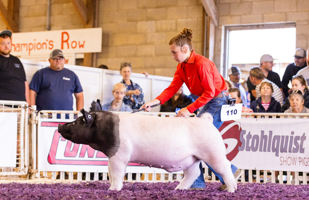 fair1
