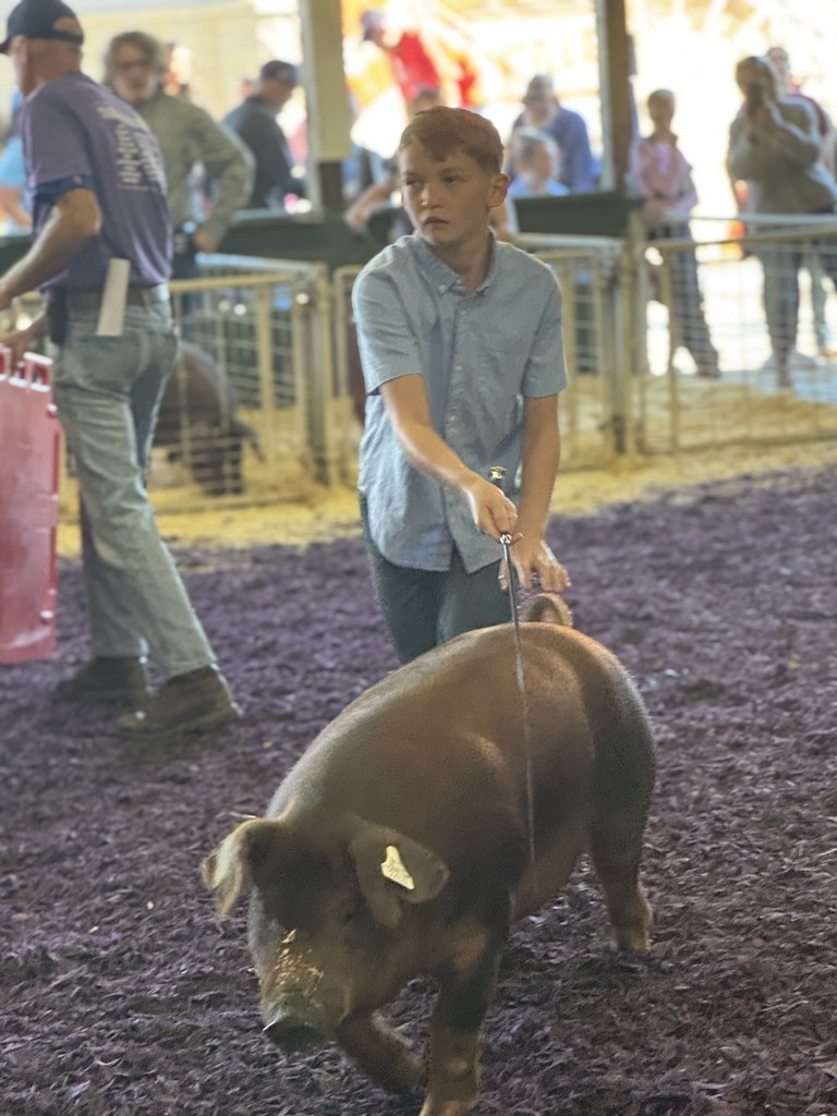 fair6