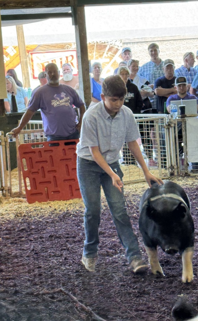fair3