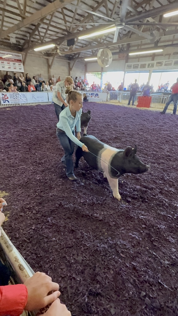fair2
