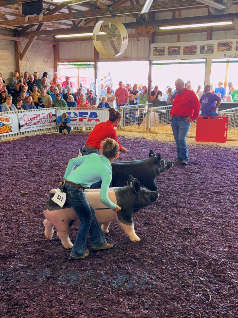 fair5