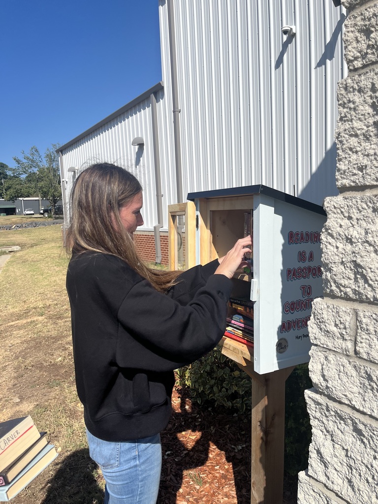 stocking little free library