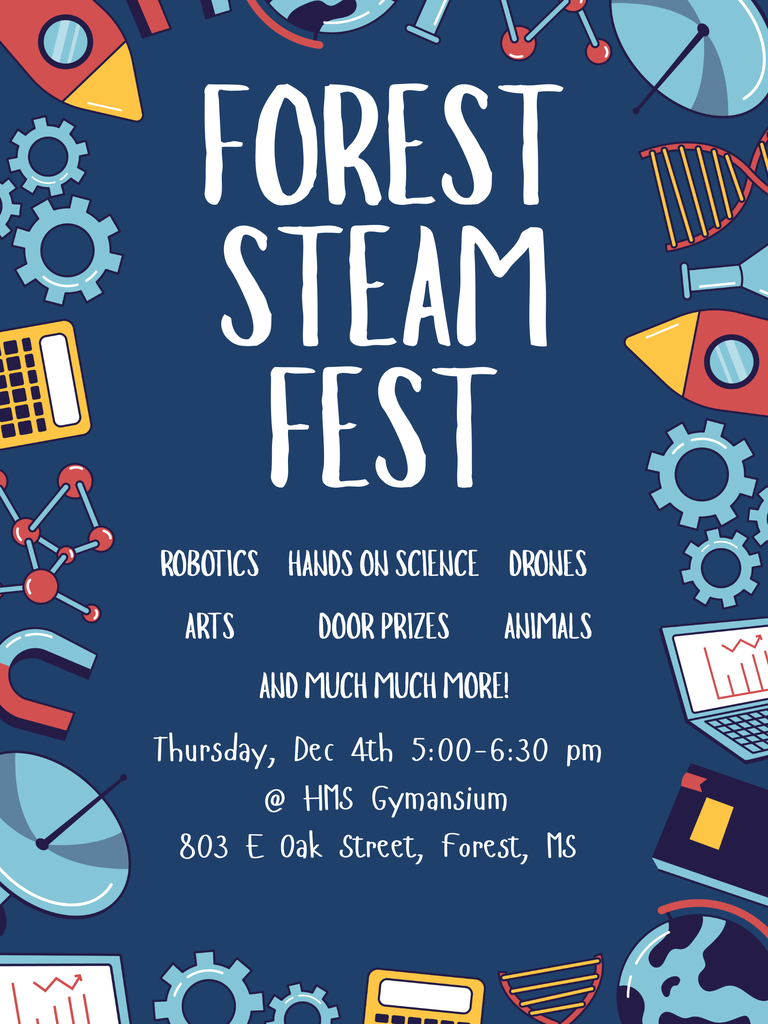 STEAM Fest 2025