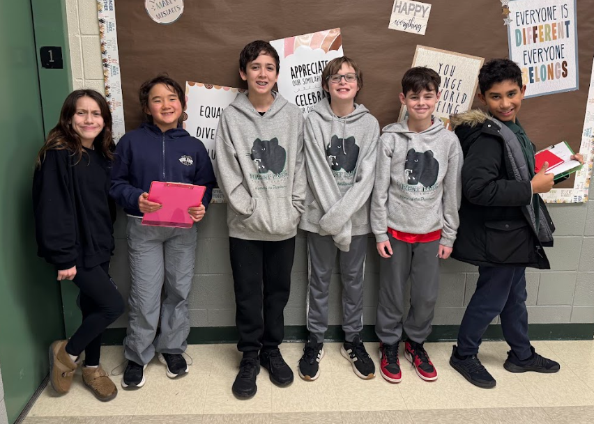 Transition Nights - Shark and Panther