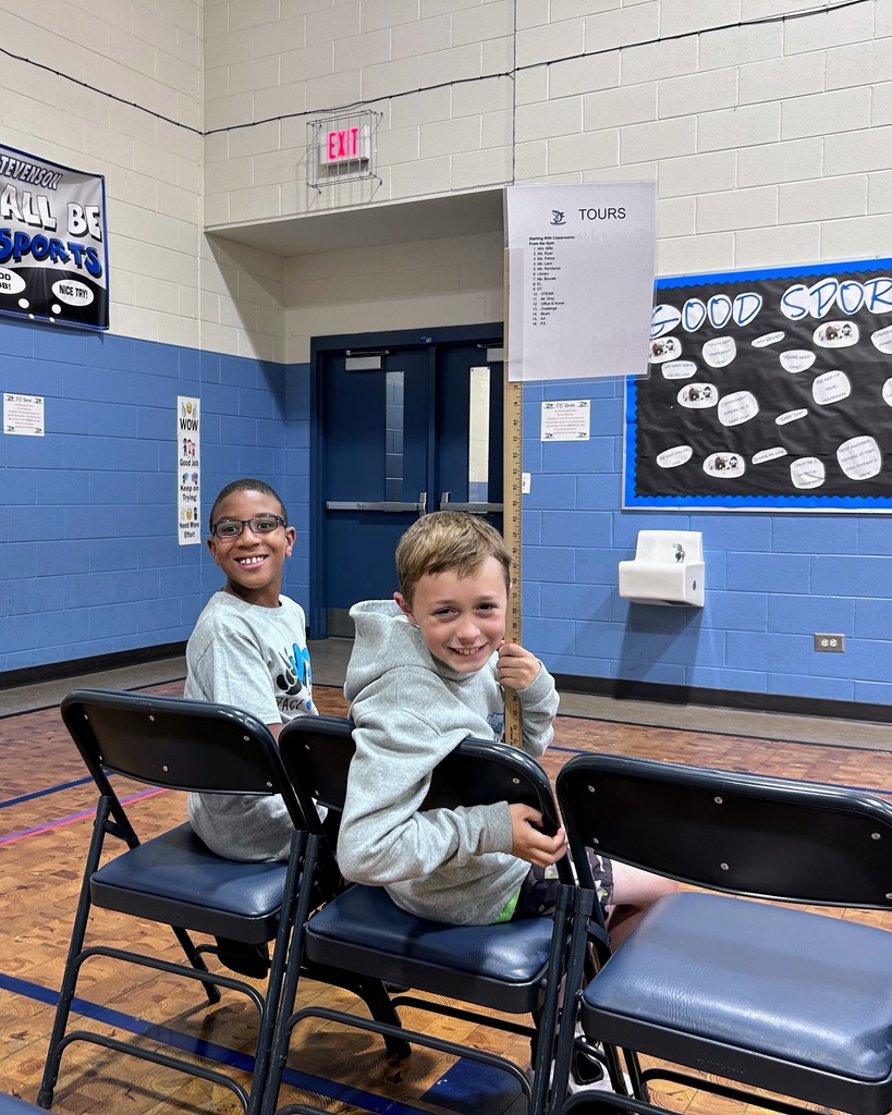 Transition Nights - Shark and Panther