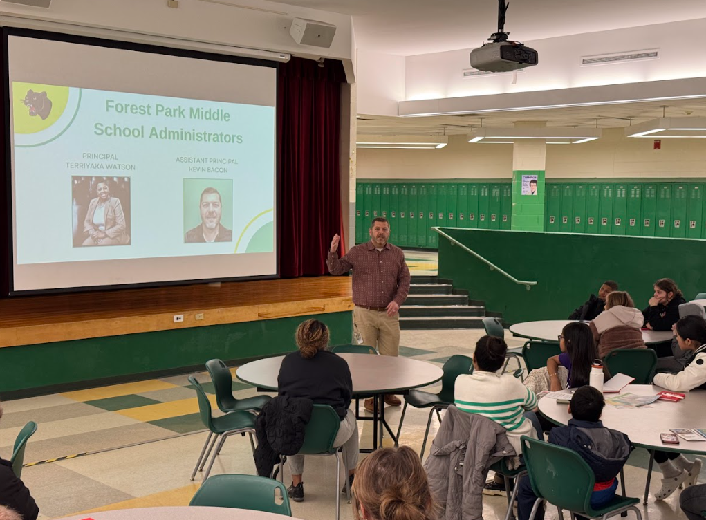 Transition Nights - Shark and Panther