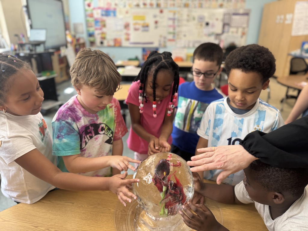 Betsy Ross Career Exploration Day