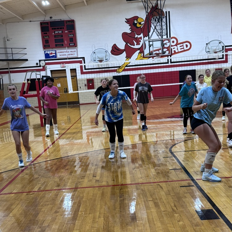 volleyball