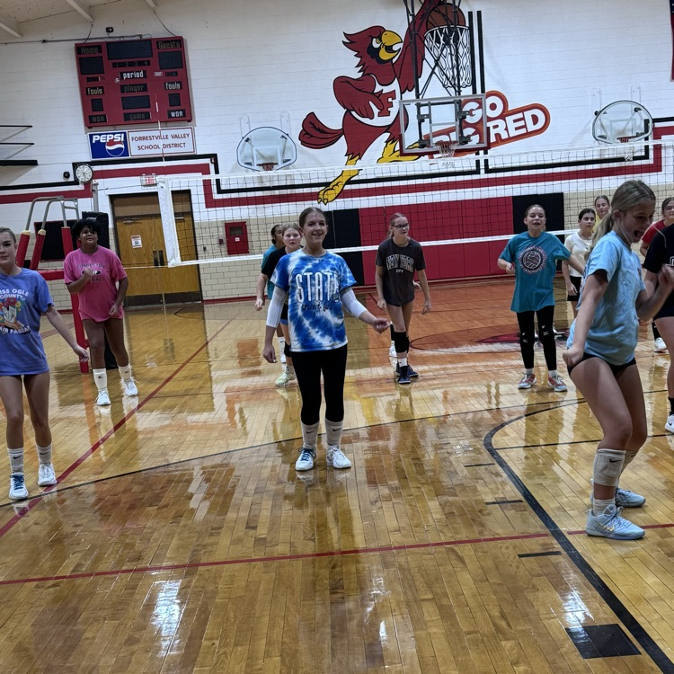 volleyball