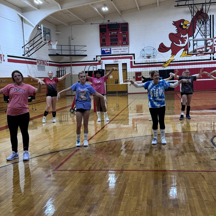 volleyball