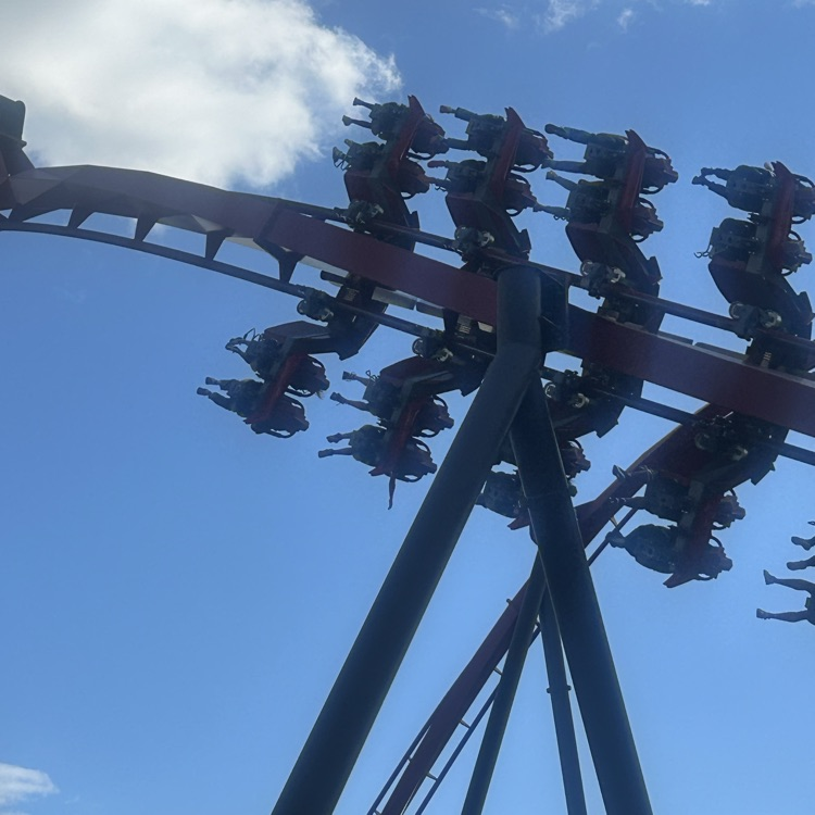 coaster