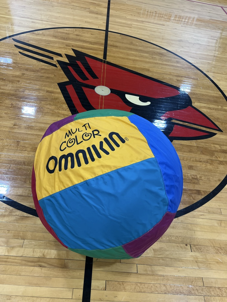 Webster’s Dictionary defines Omnikin Ball as the equalizer of all. No one person is too strong or too weak to play, as all team members must work as one
