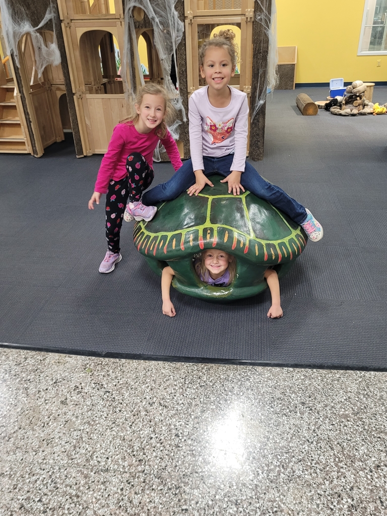 turtle girls