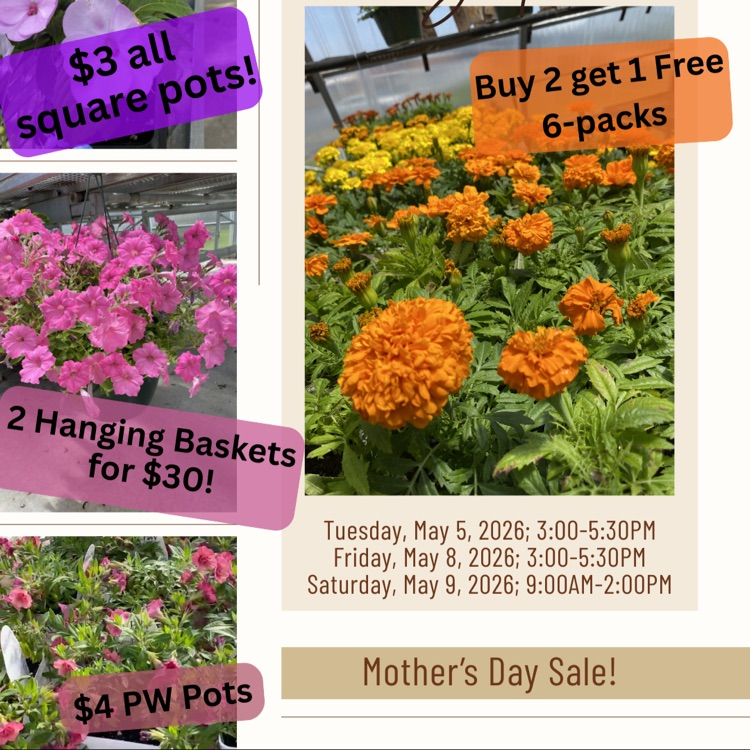 sale
